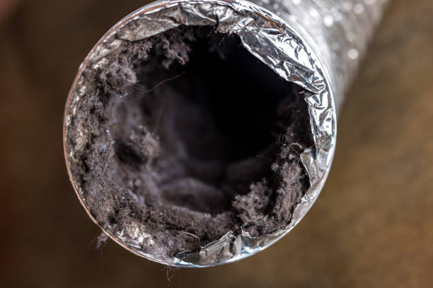 Best Local Air Duct Cleaning Services  in Smackover, AR